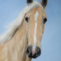 Pastel portrait of a Palomino Horse