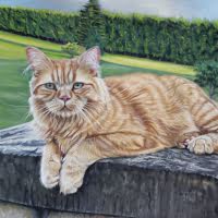 Pastel portrait of a Ginger Long-Haired Cat
