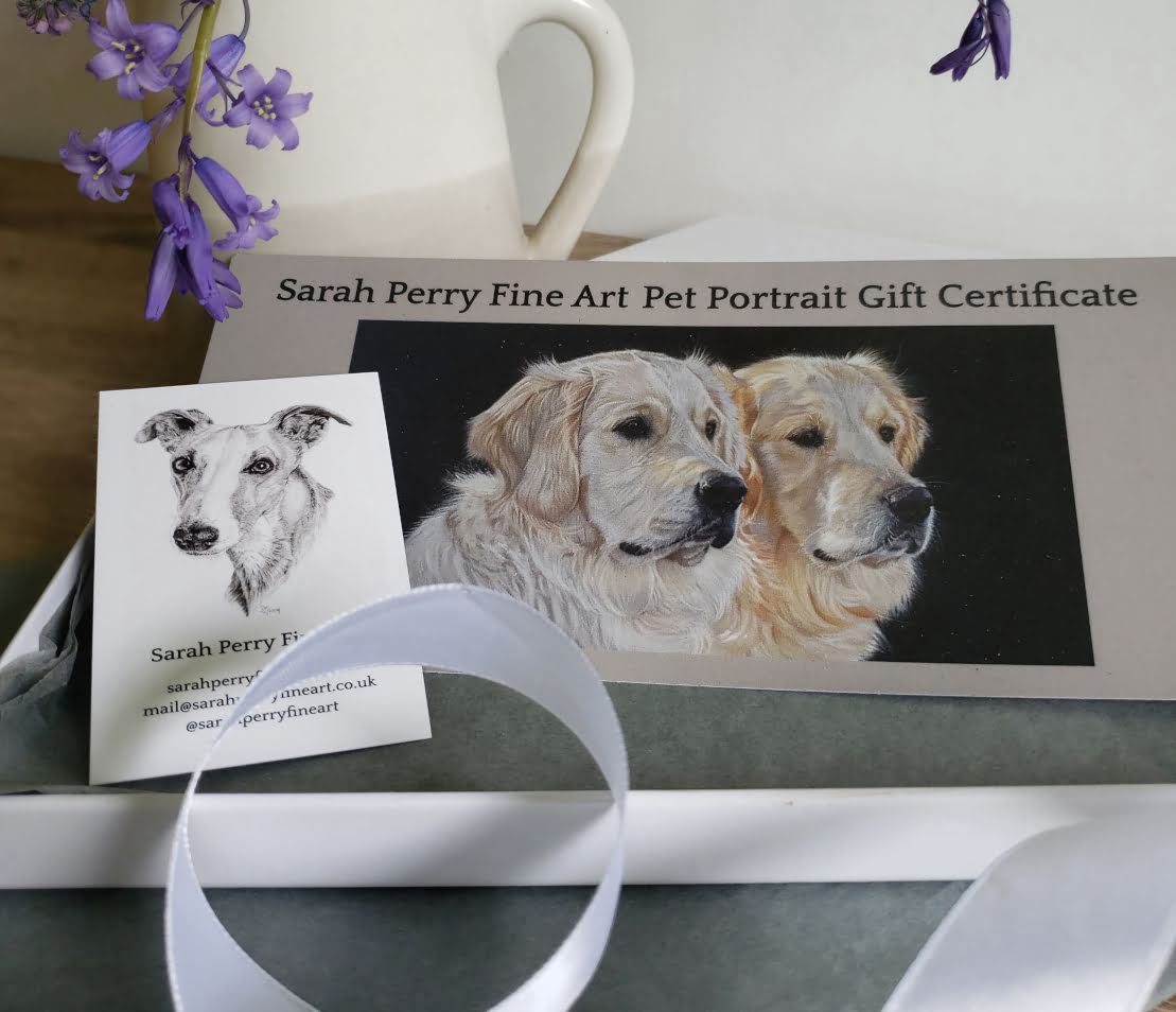 Gift certificates for pet portrait commissions, originals and prints