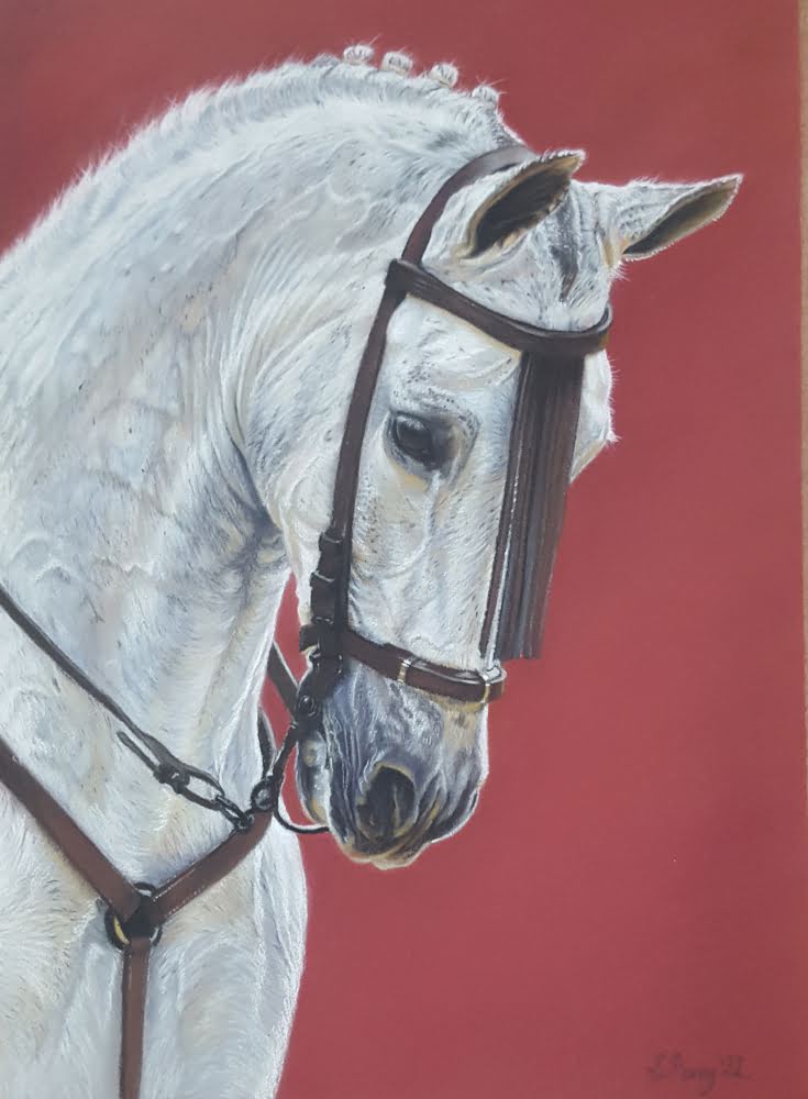 Andalusion Horse pastel portrait print