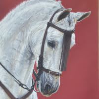 Pastel portrait of an Andalusian horse original