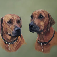 Pastel portrait of a Rhodesian Ridgebacks