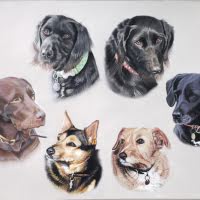 Pastel portrait of various dogs