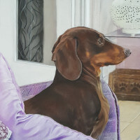 Pastel portrait of a Dachshund original