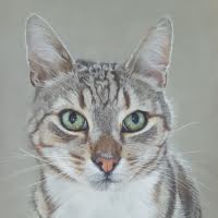 Pastel portrait of a cat