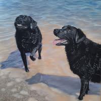 Pastel portrait of Black Labradors