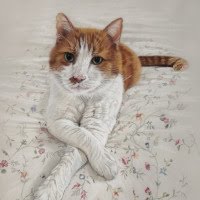 Pastel portrait of Cat