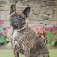 Pastel portrait of a French Bulldog