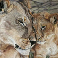 Pastel original of Lioness and Cub