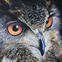 Pastel original of a Eurasian Eagle Owl