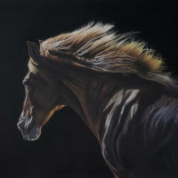 Pastel original of a Thoroughbred Horse