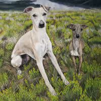 Pastel portrait of a Whippet and Italian Greyhound