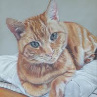 Pastel portrait of a Ginger Cat