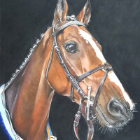Racehorse pastel portrait commission