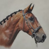 Pastel portrait of Horse