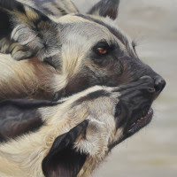Pastel original of African Wild Dogs