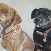 Pastel portrait of Terriers