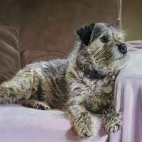 Pastel portrait of a Border Terrier