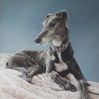 Pastel portrait of a Greyhound