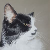 Pastel portrait of a Cat
