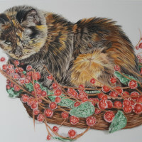 Coloured pencil memorial portrait of a cat commission