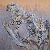 Pastel portrait of cheetahs