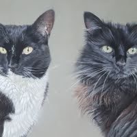 Pastel portrait of Cats