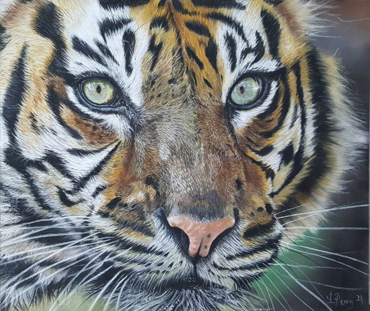 Tiger pastel portrait original