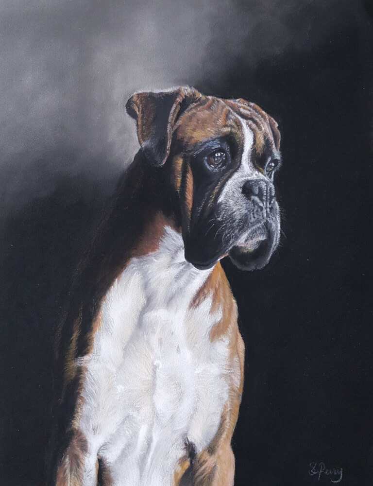 Boxer dog pastel portrait print